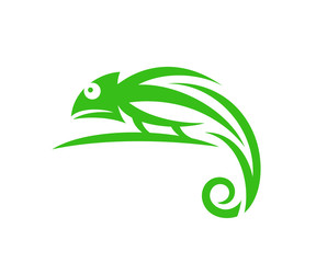 Green chameleon. Abstract chameleon on white background