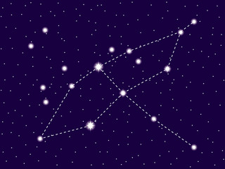 Cygnus constellation. Starry night sky. Cluster of stars and galaxies. Deep space. Vector illustration