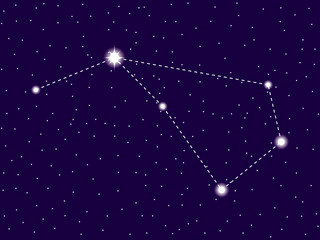Obraz na płótnie Canvas Volans constellation. Starry night sky. Cluster of stars and galaxies. Deep space. Vector illustration