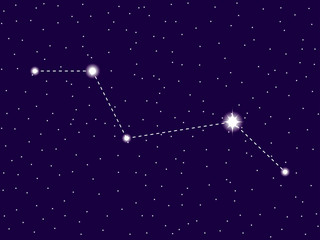 Obraz na płótnie Canvas Vulpecula constellation. Starry night sky. Cluster of stars and galaxies. Deep space. Vector illustration