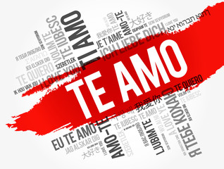 Te amo (I Love You in Spanish) in different languages of the world, word cloud background