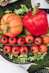 Few of fresh appetizing vegetable in plate on green grass at sunny summer day full shot. Heap of juicy tomato lettuce sweet pepper ready for outdoor picnic high angle