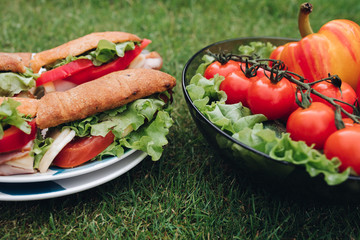 Top view of plate of homemade tasty sandwiches made from home bread and fresh vegetables. Bowl of healthy eco veggies on the grass.
