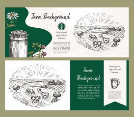 ows graze on pasture. Agricultural illustration in the style of a sketch. Set of horizontal agricultural banners.