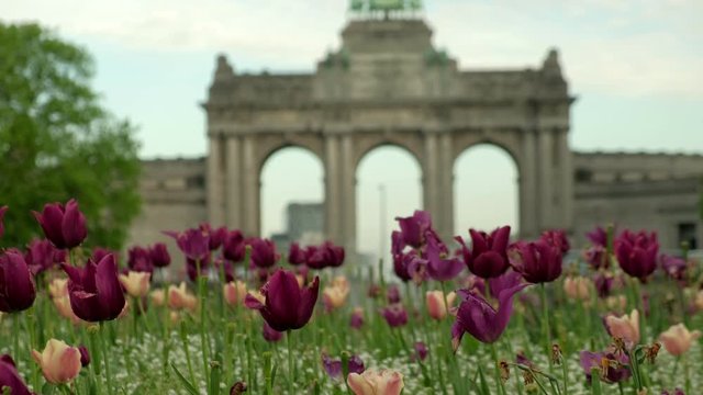 Blooming tulips with Triumphal arch at Cinquantenaire Park in Brussels