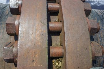 Big rust nuts in a circular row (shallow focus).