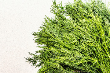 Fresh organic herb dill