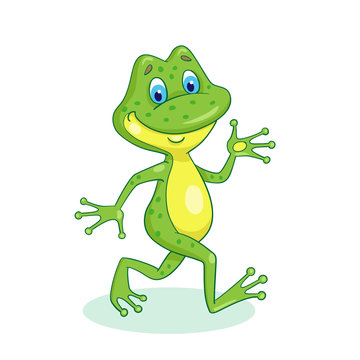 Funny frog goes. In cartoon style. Isolated on white background.