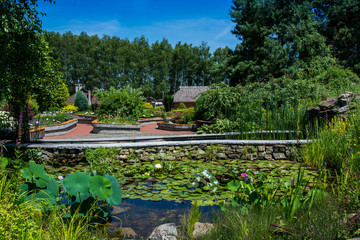 Arboretum w Bolestraszycach