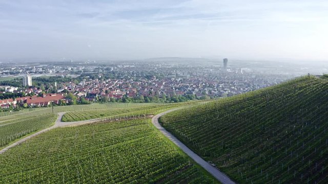Drone view of vineyards and the city of Kappelberg in Germany