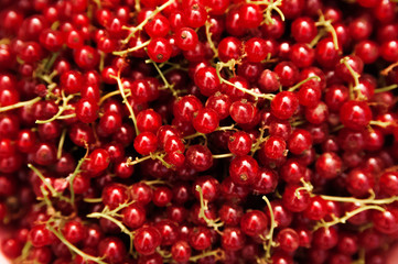 Natural texture from a lot of ripe red currants close-up. Red currant copy space.