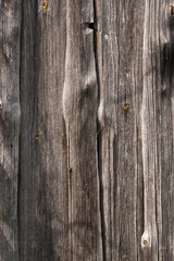 The old wood texture with natural patterns