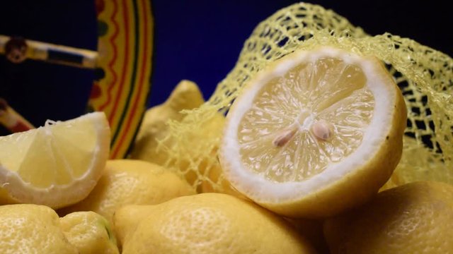 Citrus limon ft9104_0635
