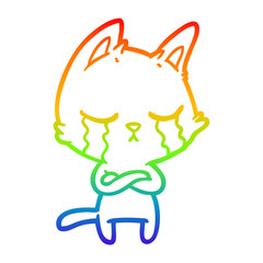 rainbow gradient line drawing crying cartoon cat with folded arms