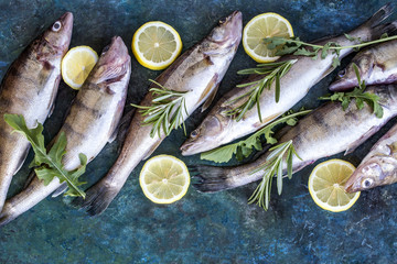 fresh fish pike perch with fresh vegetables and herbs on the background