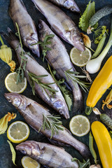 fresh fish pike perch with fresh vegetables and herbs on the background