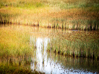 Shot of the Granelli natural protected reserve in the southern Sicily, Italy. The shot is take during a summer day