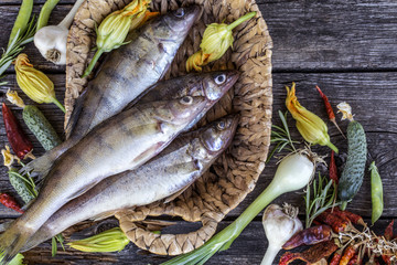 fresh fish pike perch with fresh vegetables and herbs on the background