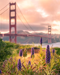 Gorgeous new view of Golden Gate Bridge 