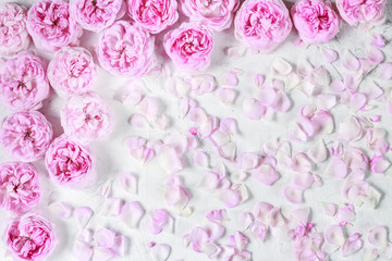 background pattern of pink roses and petals