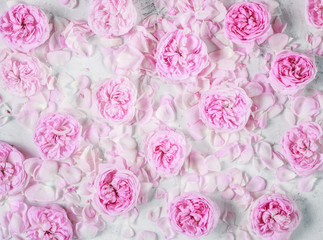 pattern of pink roses and petals as background