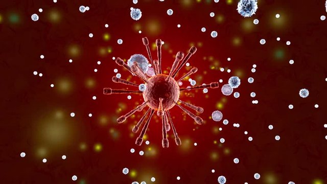 3D rendered Animation of the immune system attacking a Virus with Leukocytes and Monocytes.