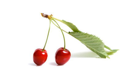 Tropical summer abstract background. Cherry with cuttings and leaves on the white background.