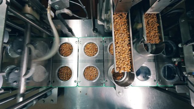Process of filling containers with wheat crackers at a food factory. Robotic production line