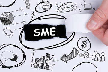 Business, technology, internet and networking concept. Young entrepreneur showing keyword: SME