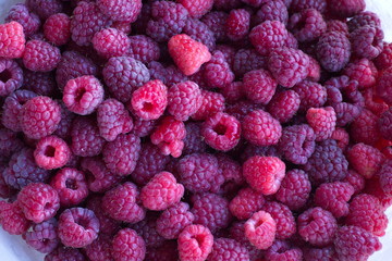 Raspberries 