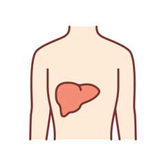 Healthy liver color icon. Human organ in good health. People wellness. Functioning digestive gland. Internal body part in good shape. Wholesome gastrointestinal tract. Isolated vector illustration