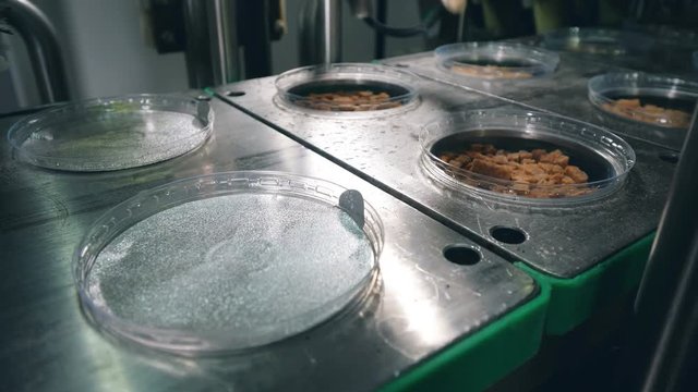 Working machine puts foil lids onto containers with dried crackers.