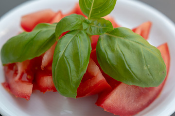 Frischer Tomatensalat mit Basilikum garniert