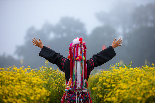 thai karen mountain raise arms in the field of chrysanthemums flower plants