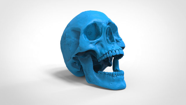 skull 3d printed isolated background