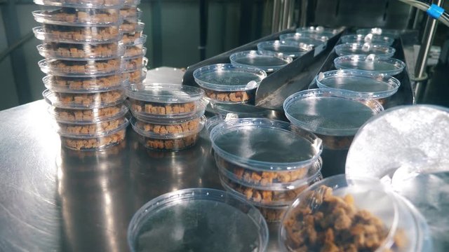 Food factory worker takes packs with bread crackers from a conveyor.