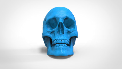 Obraz premium skull 3d printed isolated background