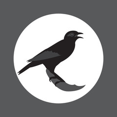 Creative Bird icon logo vector design