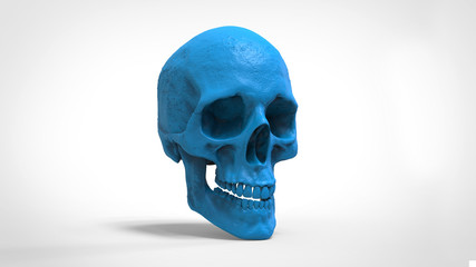 skull 3d printed isolated background