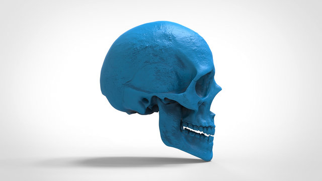 skull 3d printed isolated background