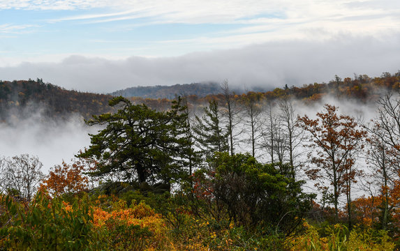 Aerial view of mountain forests engulfed in clouds during the autumn season