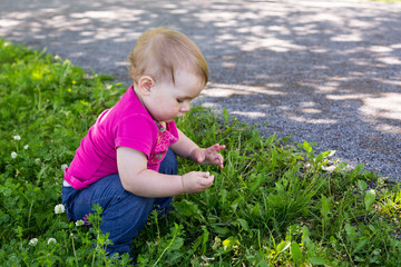 Horizontal side view of cute fair toddler girl crouched in clover patch picking and examining the flowers next to a dirt pathway, Quebec City, Quebec, Canada