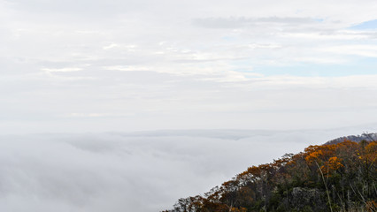 Aerial view of mountains engulfed in clouds