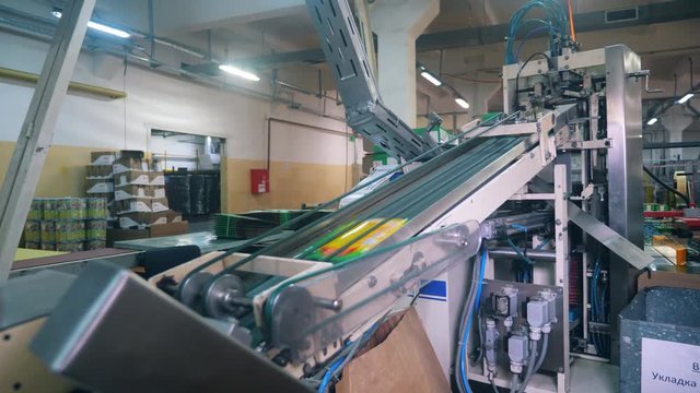 Plastic packaging moves on a plant conveyor.