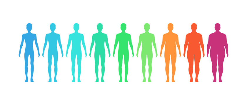 BMI concept. Male body mass index vector illustration. Body shapes from underweight to extremely obese