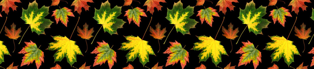 Autumn leaves pattern