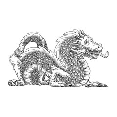 hand drawing dragon vector illustration