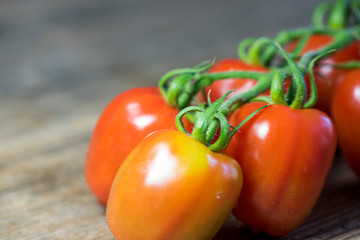 Fresh tomatoes on wood background