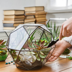 Woman making plant composition. Home gardening concept