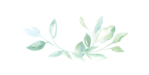 Illustration of watercolor drawing decorative elements of green plants and leaves in the form of frames on an isolated white background.